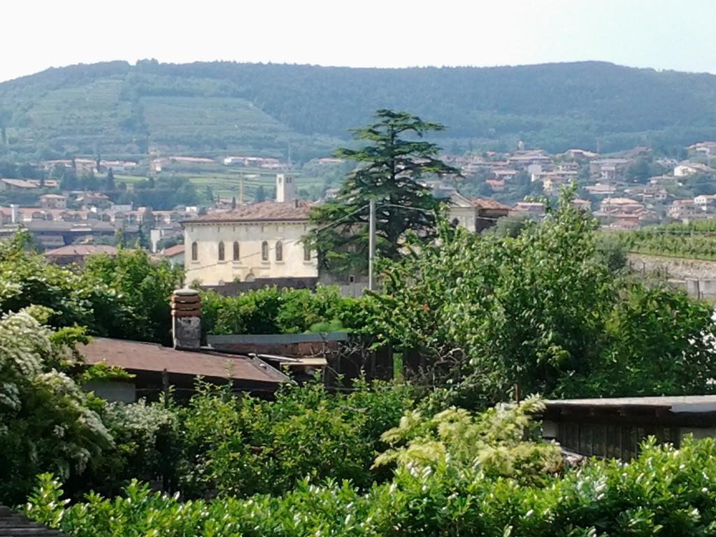נגראר Agriturismo Corte Galvani מראה חיצוני תמונה
