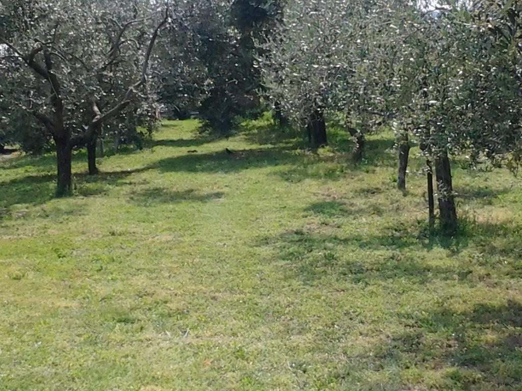 נגראר Agriturismo Corte Galvani מראה חיצוני תמונה